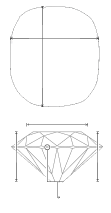 Schematic view