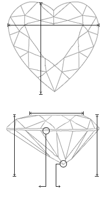 Schematic view