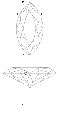 Schematic view