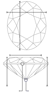 Schematic view