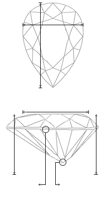 Schematic view