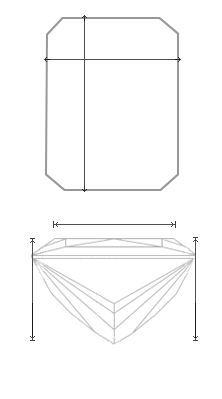 Schematic view